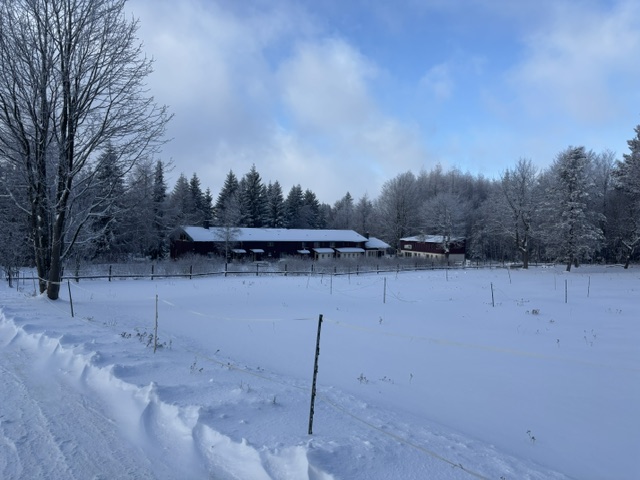 Hotel und Pferdekoppel im Winter aus der Ferne