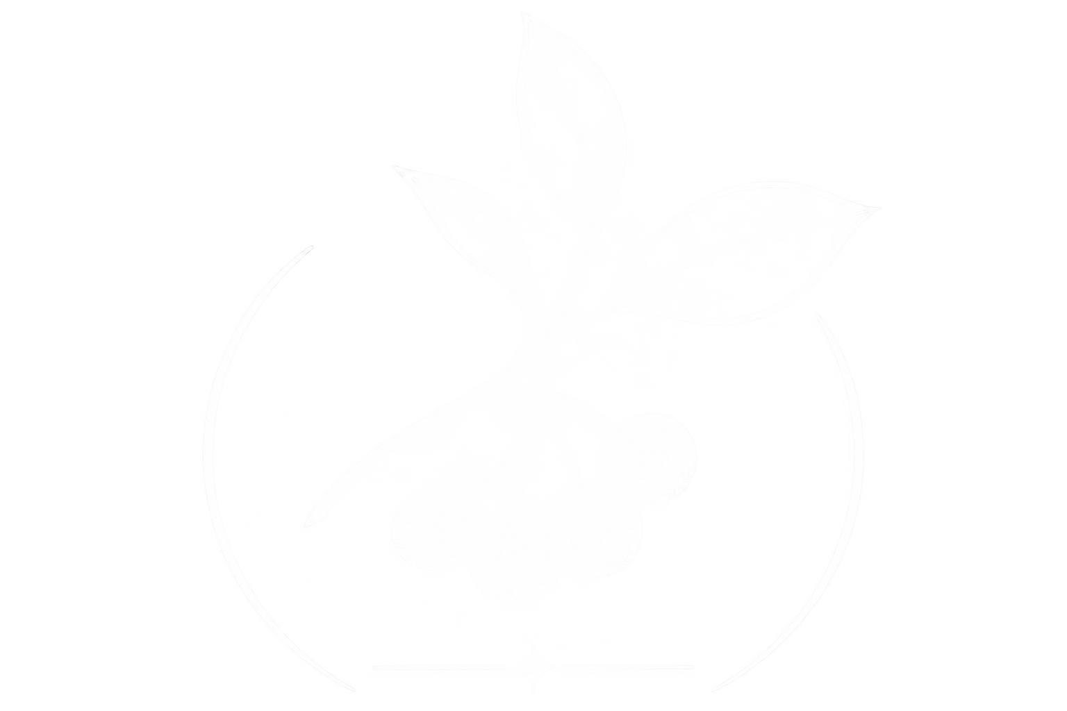 Aronia beeren