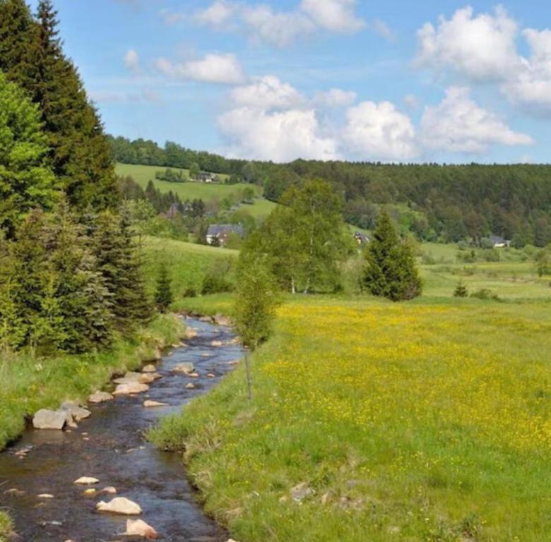 Waldblick mit dem Dorf in der Ferne